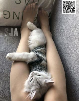 亚洲青青在线视频_1080在线观看