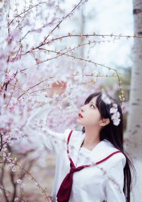 日本无码欧美三视频二区_高清在线观看电视